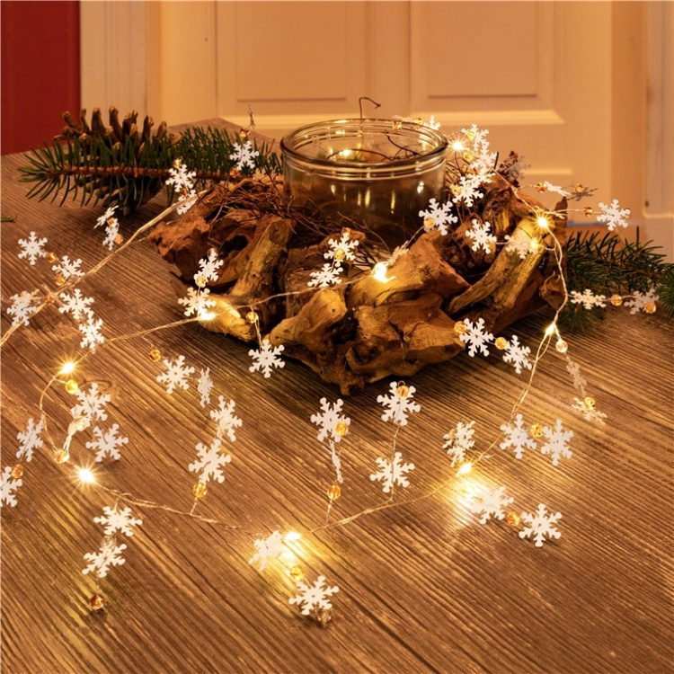 Goobay 10 LED lyskjede sølvtråd 