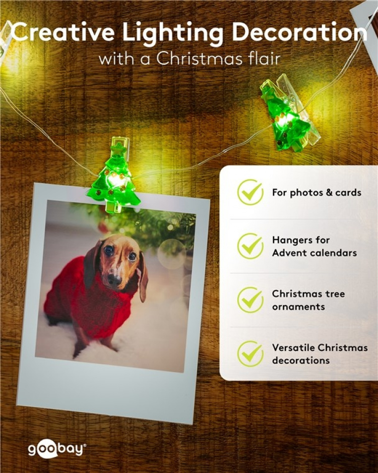 Goobay 10 LED-fotoklipslys 