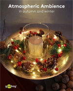 Goobay 20 LED-lyskæde med sølvtråd 