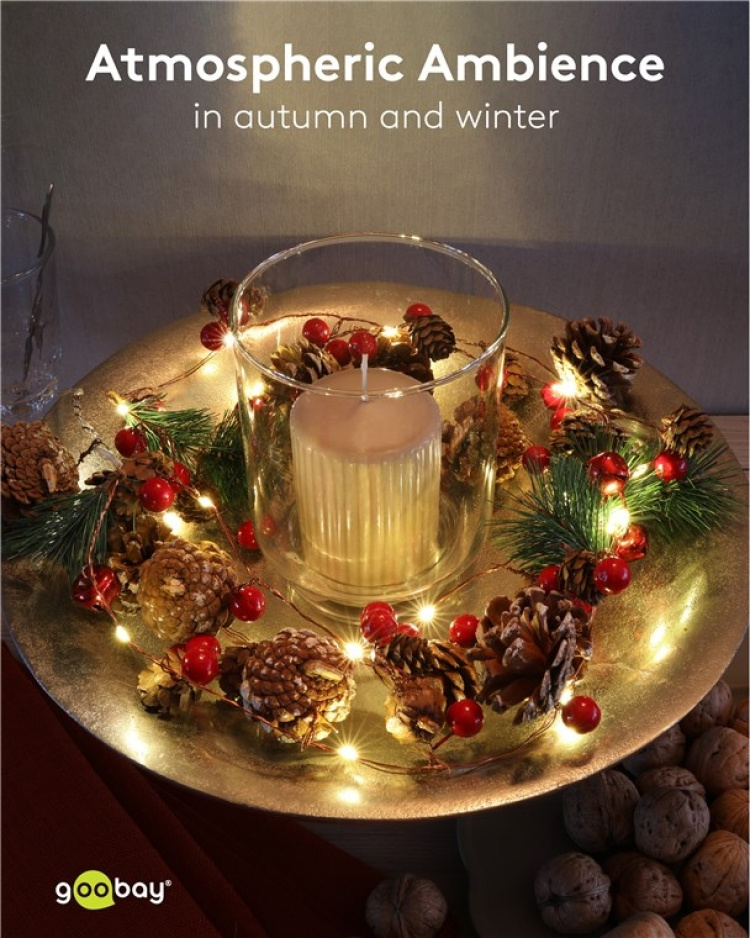 Goobay 20 LED-lyskæde med sølvtråd 