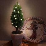 Goobay 20 LED-lyskæde med sølvtråd 