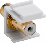 Goobay Keystone-modul RCA 2 x cinch-kontakt, hvit, gullbelagt Goobay Keystone-modul RCA 2 x cinch-kontakt, hvit, gullbelagt