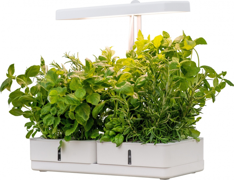 AIRAM Daisy plantelampe, 20W/835, 1450 lm AIRAM Daisy plantelampe, 20W/835, 1450 lm