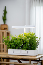 AIRAM Daisy plantelampe, 20W/835, 1450 lm AIRAM Daisy plantelampe, 20W/835, 1450 lm