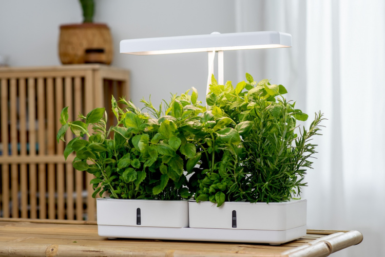 AIRAM Daisy plantelampe, 20W/835, 1450 lm AIRAM Daisy plantelampe, 20W/835, 1450 lm