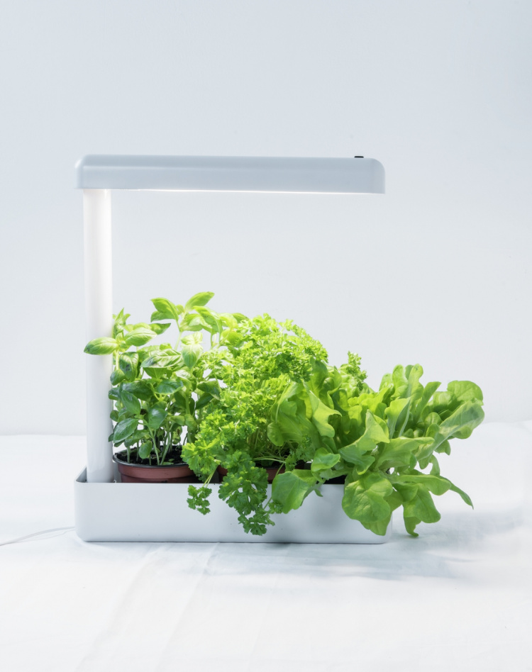 AIRAM Herby plantelampe, 10W/840, 650 lm