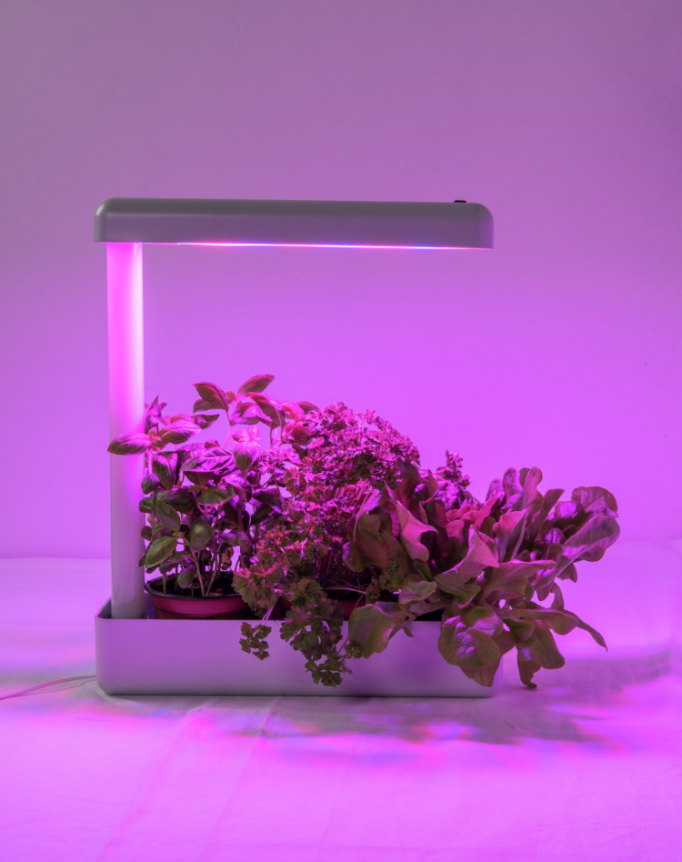 AIRAM Herby plantelampe, 10W/840, 650 lm