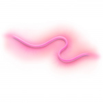 WiZ WiFi Smart RGBW utendørs lysstripe 5m WiZ WiFi Smart RGBW utendørs lysstripe 5m