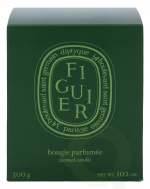 Diptyque Figuier Duftlys 300 gr