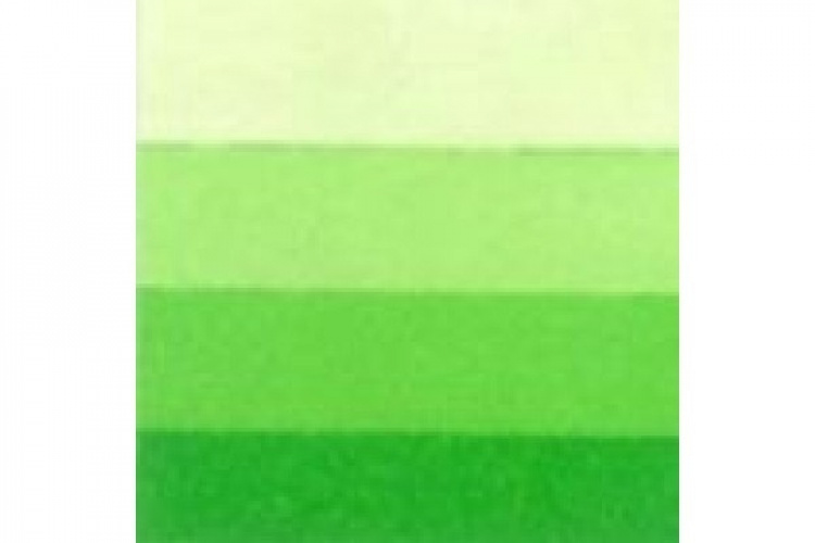 LB Charbonnel Intaglio Etching Ink 200Ml Spring Green 544