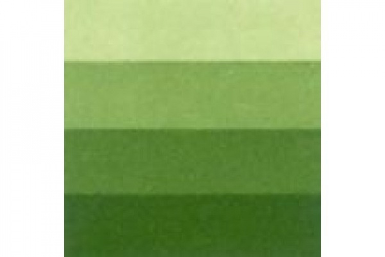 LB Charbonnel Intaglio Etching Ink 200Ml Medium Green 561