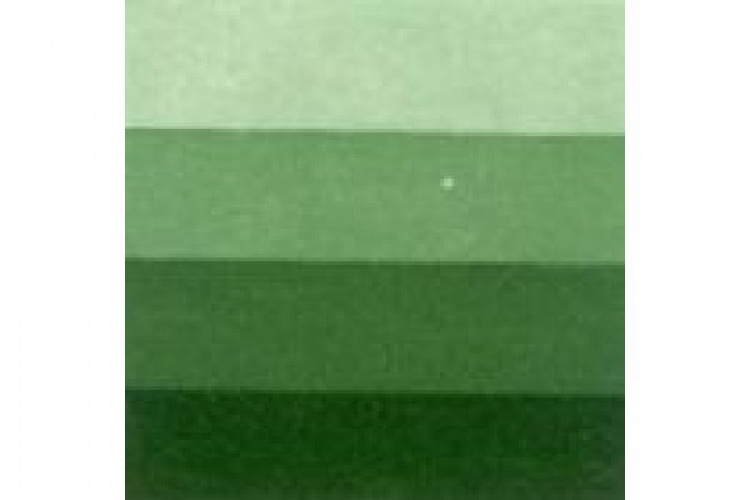 LB Charbonnel Intaglio Etching Ink 200Ml Sap Green 552