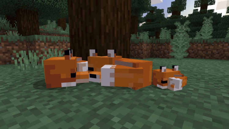 Minecraft - Starter Edition (PS4)