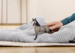 Schleich Horse Club 13955 Selle français hoppe