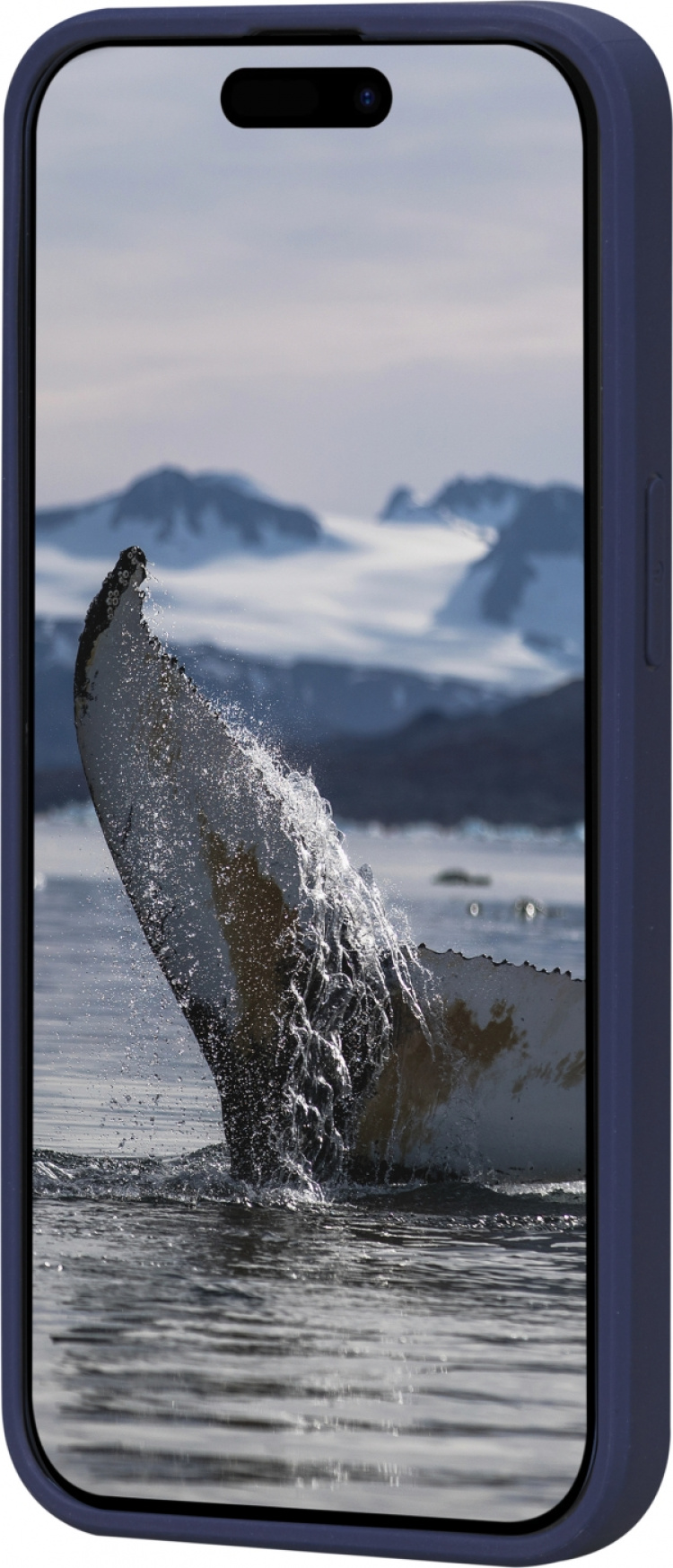  Dbramante1928 Grønlands beskyttende etui, iPhone 15, blå