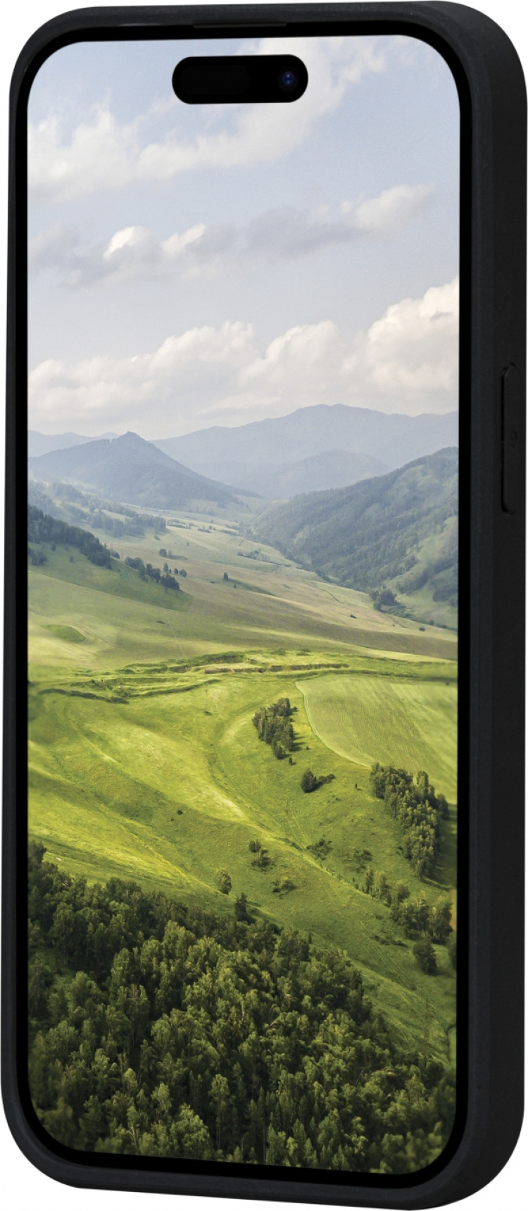 Dbramante1928 Grønlands beskyttelsesveske, iPhone 15 Pro Max, svart