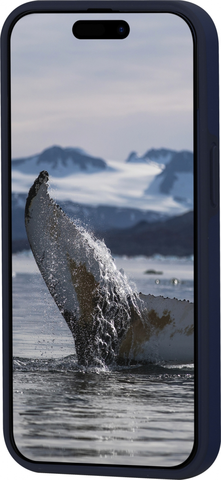 dbramante Iceland Ultra D3O MagSafe-deksel, iPhone 15, blå