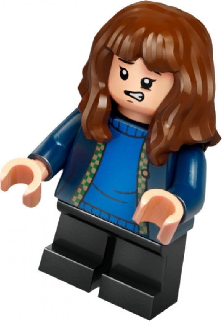 Lego Harry Potter 76428 - Gygrids hytte: Et uventet besøk