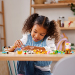 Lego Classic 11034 - Kreative kjæledyr Lego Classic 11034 - Kreative kjæledyr