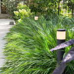 LightsOn Polly Pollare 38cm 350lm 3000K 5W Antrasitt