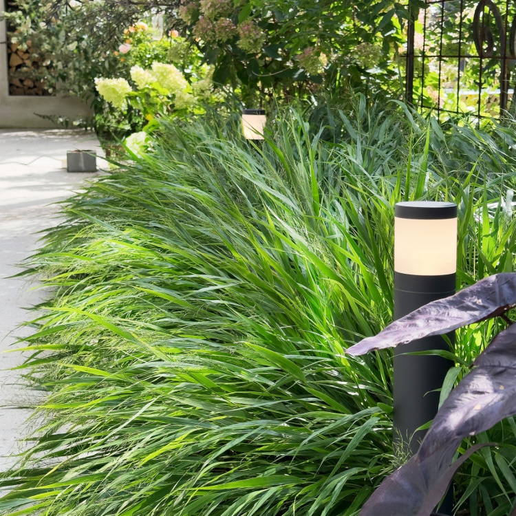 LightsOn Polly Pollare 38cm 350lm 3000K 5W Antrasitt