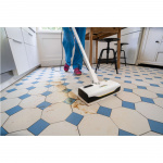 Kärcher Damprenser SC 1 Upright