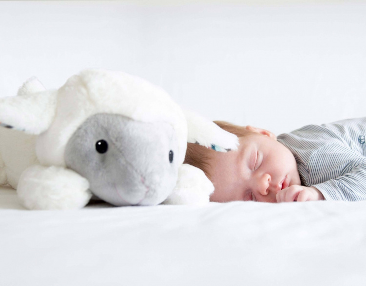 Zazu Lizzy lammet kosedyr, musikk