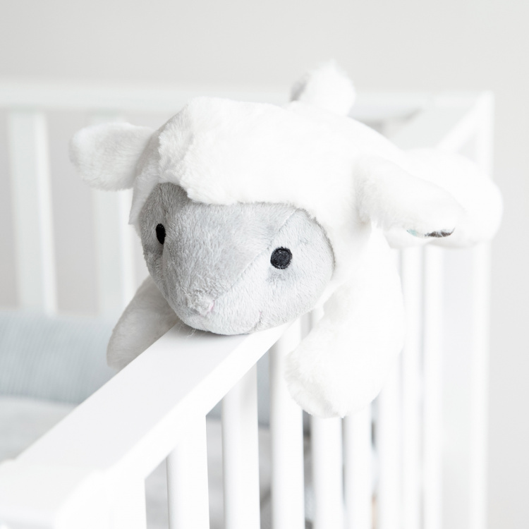 Zazu Lizzy lammet kosedyr, musikk