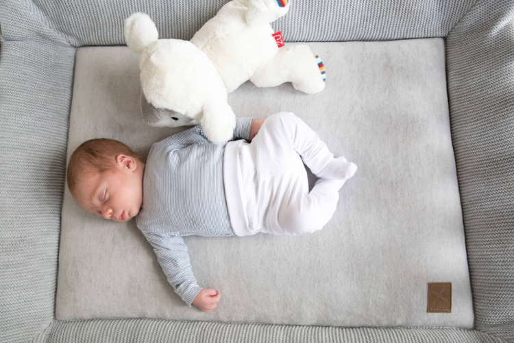 Zazu Lizzy lammet kosedyr, musikk