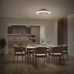 Philips Amigo takvifte med LED-belysning varm/kaldhvit 6000 lm