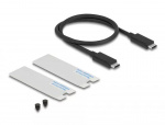 DeLOCK USB4™ 40 Gbps Enclosure for 1 x M.2 NVMe SSD - tool free