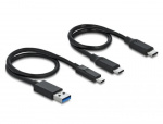 DeLOCK M.2-dokkingsstasjon M.2 NVMe PCIe SSD med USB TypeC™-hunn