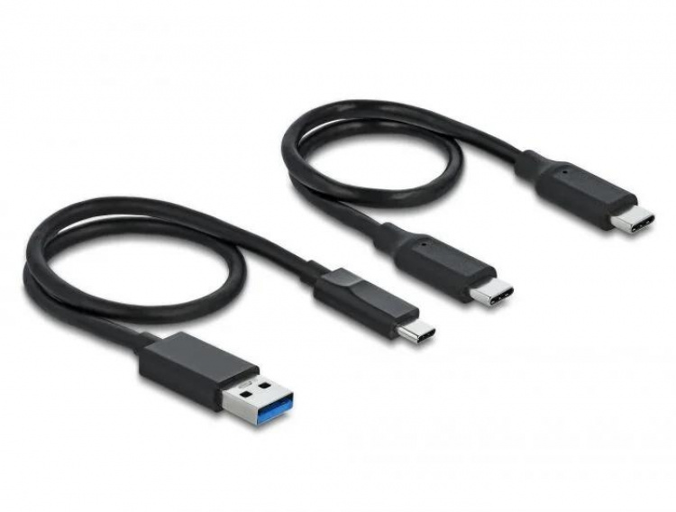 DeLOCK M.2-dokkingsstasjon M.2 NVMe PCIe SSD med USB TypeC™-hunn