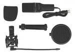 DeLOCK USB Condenser Microphone Set Podcasting Gaming and Vocals