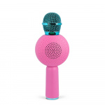 Paw Patrol Skye Karaoke Mic PopSing With LED