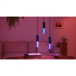 Philips Hue Lightguide Globe 95mm E27 Hvit og farget Ambiance