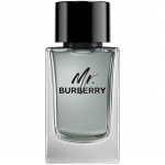 Burberry Burberry Mr Edt 100ml