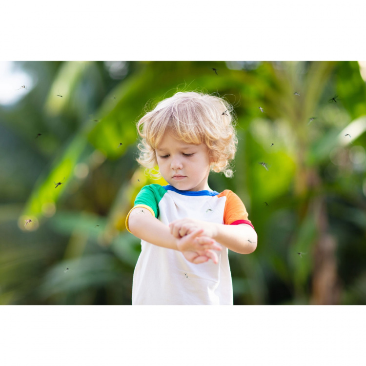 Terraillon Insektstikk lindrer 2 programmer