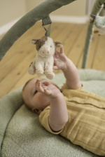 Little Dutch Little Farm lekematte med buer, grønn