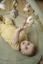 Little Dutch Little Farm lekematte med buer, grønn