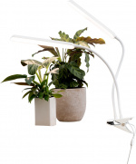 Airam Tulip vekstlys, 16W/840, 780 lm, hvit Airam Tulip vekstlys, 16W/840, 780 lm, hvit