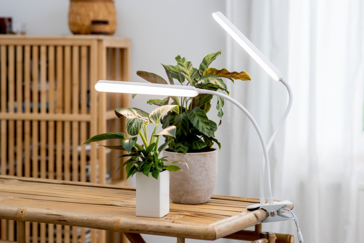 Airam Tulip vekstlys, 16W/840, 780 lm, hvit Airam Tulip vekstlys, 16W/840, 780 lm, hvit