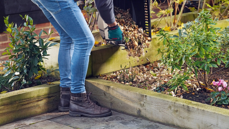 Bosch AXT 25 TC -ox shaker