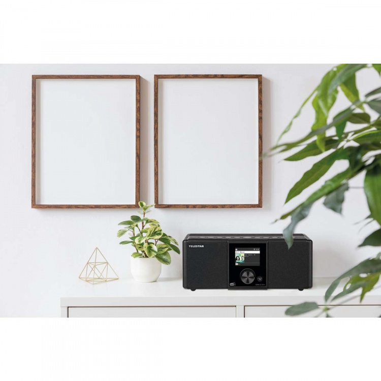 TELESTAR DIRA S21i+ EWF Multifunksjonell stereoradio DAB+ / FM / Internett / Bluetooth Svart