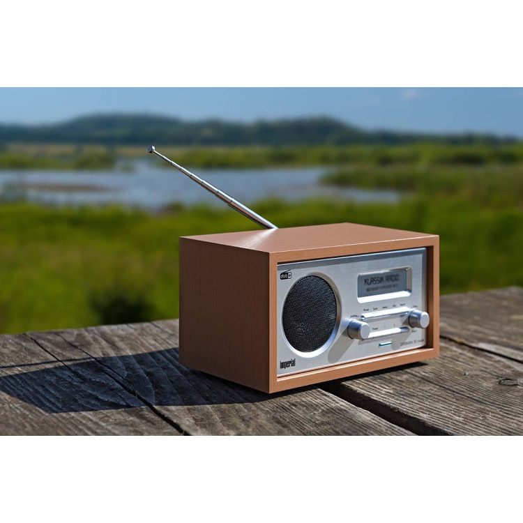 imperial DABMAN 30 Mobil DAB+ / FM-radio Wood