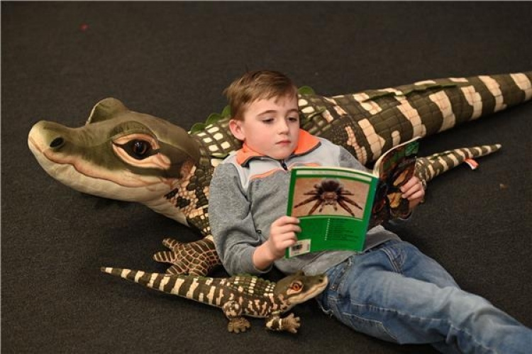 Wild Republic Jumbo alligator 175 cm