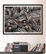 Clementoni 1000 stk CB høykvalitets samling National Geographics Zebraer