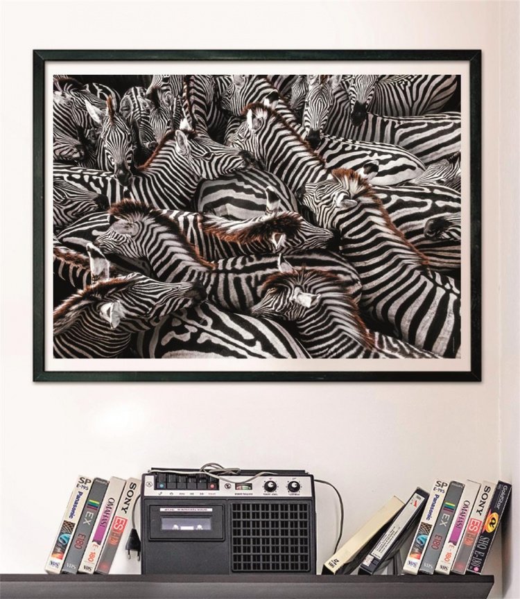 Clementoni 1000 stk CB høykvalitets samling National Geographics Zebraer