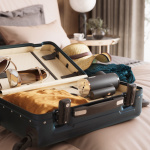 Princess Plaggdamper 2in1 med bleiefjerner 332890 Dual håndholdt