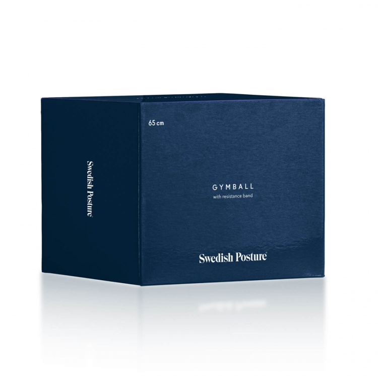 SWEDISH POSTURE Gym Ball Resistance Band SWEDISH POSTURE Gym Ball Resistance Band